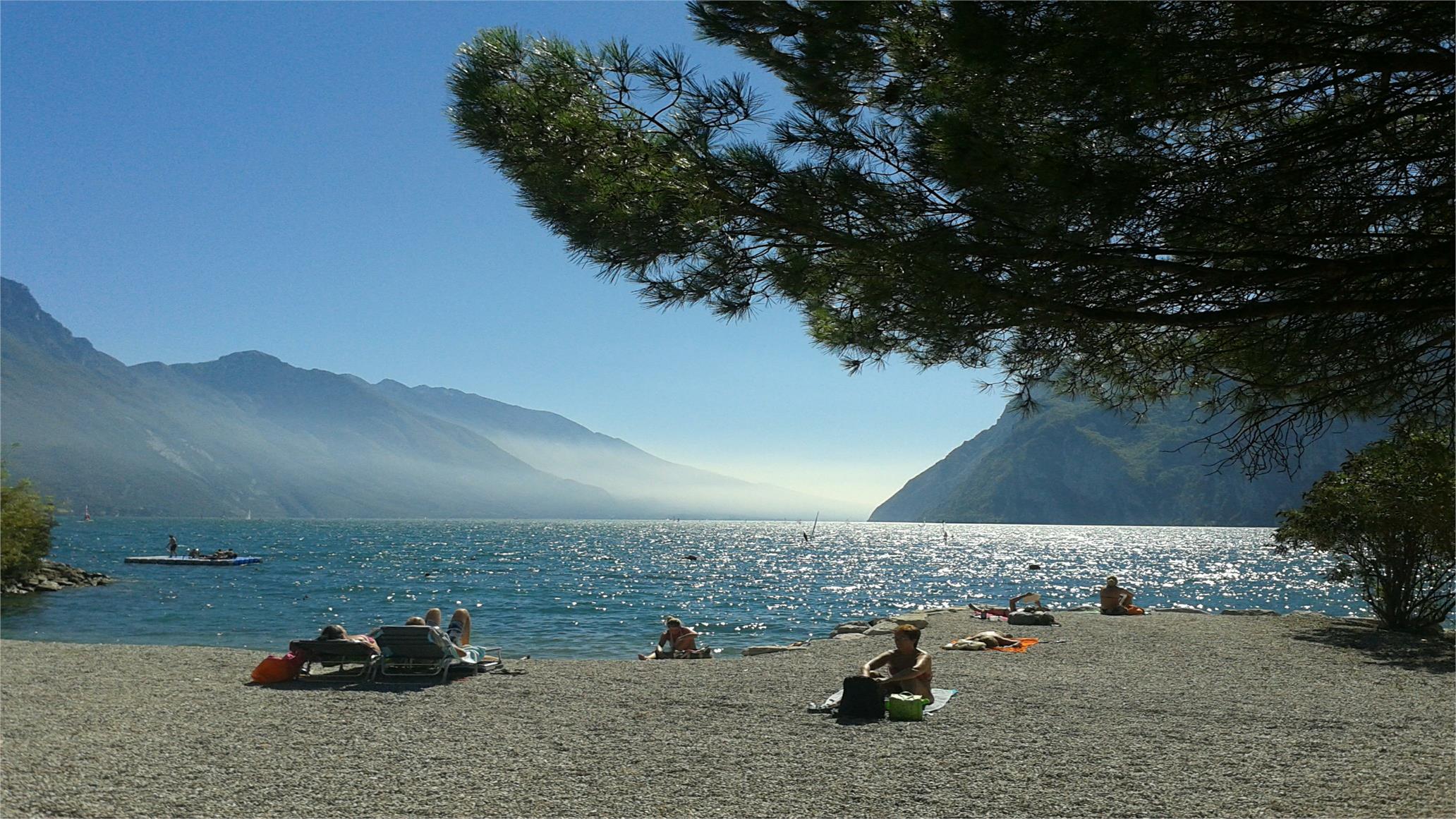 Immagine 14